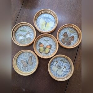 Vintage butterfly coasters
